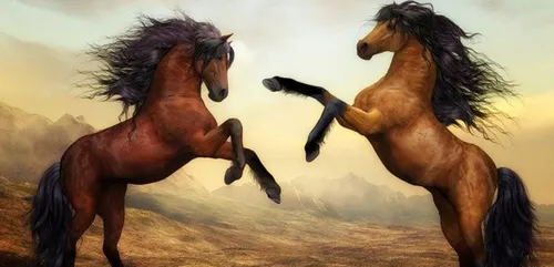 " L'arbre aux 1 000 légendes " aux haras d'Hennebont