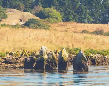 Unesco. Où en est la candidature des sites mégalithiques de Carnac ?