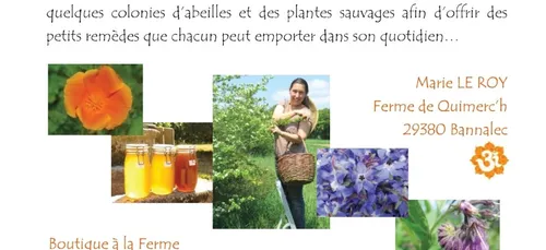 LES PROPRIETES DU MILLEPERTUIS AVEC MARIE LE ROY