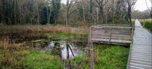 Vannes veut rester attirante pour la faune et la flore sauvage
