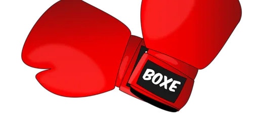 Gala de boxe à Lorient