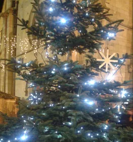 Où déposer votre sapin à l'heure où vous allez ranger vos...