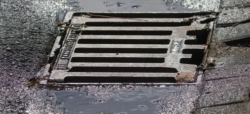 A Douarnenez ( 29 ) la mer commence sur le trottoir