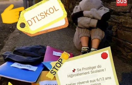 Harcèlement scolaire : le combat de l'association DTL SKOL