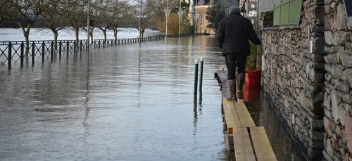 Relance des recherches dans la Vilaine à Redon