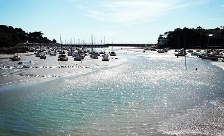 C'est un sésame qui ouvre la porte à bien des jobs d'été