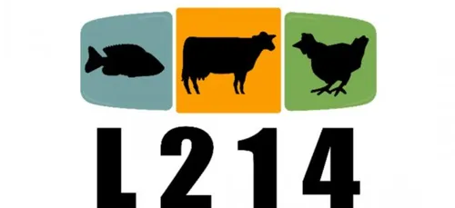 L214 en campagne contre le groupe Le Duff