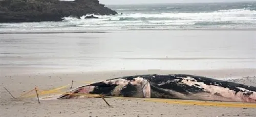 On s'en doutait... Les chiffres le confirment