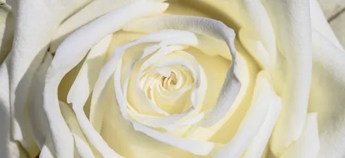 Marche blanche en mémoire de Xavier au mois de juin prochain à...