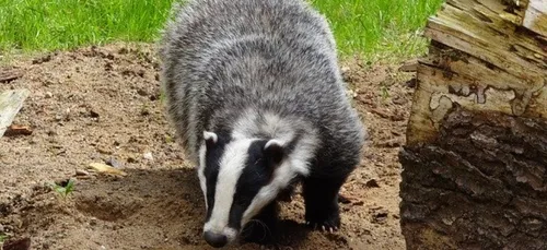 L'accès au centre nautique Gilles Gahinet, rue du bol d'air à...