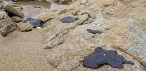 Le retour des boulettes de fioul sur les côtes bretonnes
