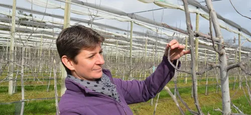 Climat : les arboriculteurs inquiets