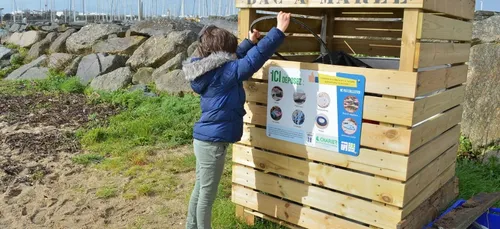 Les bacs à marée se multiplient sur les plages bretonnes