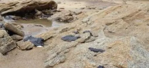 L'Atlantique sous surveillance