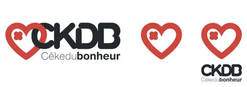 COUP DE COEUR POUR L ASSOCIATION Cékedubonheur