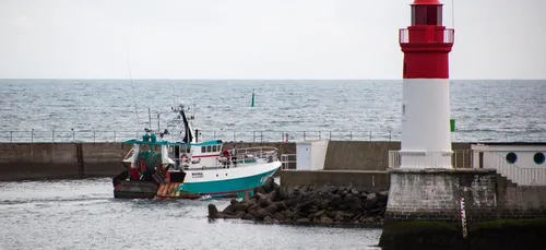 Le dossier de la semaine - La pêche durable et équitable