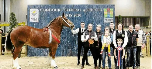 Hiris , pouliche de Bannalec ( 29 ) distinguée au salon de...