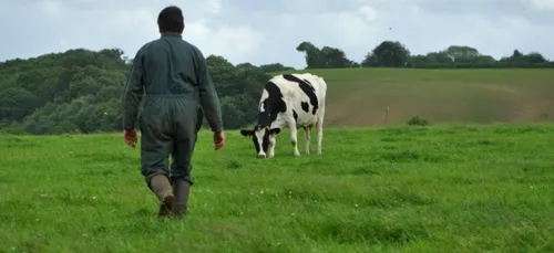 Jean-Paul, agriculteur sur le canton de Rochefort-en-Terre (56)...
