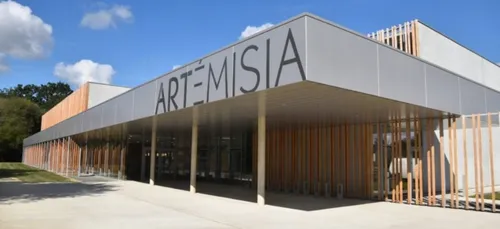 La culture, arme contre le coronavirus et le confinement