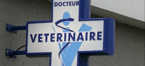 La lutte contre l'épidémie de Coronavirus se poursuit en Bretagne