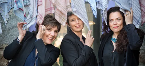 Artemisia : lancement réussi pour les concerts en ligne ! (La Gacilly)