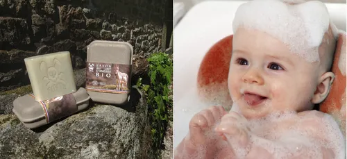 Les papas vannetais lancent leur savon 100% bio et breton !