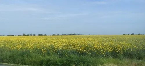 “Adaptons le modèle agricole breton aux nouveaux enjeux de société”