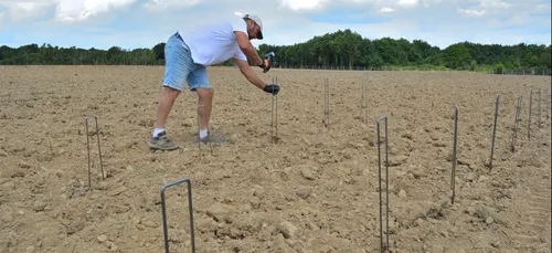27 500 pieds de vigne plantés à Sarzeau