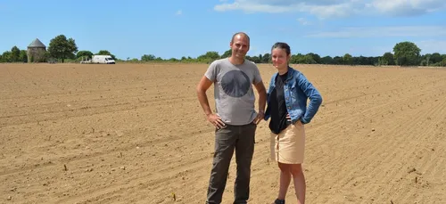 La carte des vins bretons devrait s'étoffer