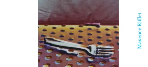 L'exposition de Maxence Rifflet est prolongée au centre d'art...