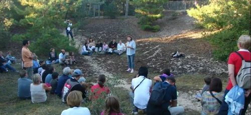 Concerts, festoù noz, théâtre et arts de la rue...