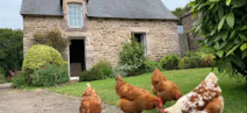 Gîte et oserais à Erquy (22)