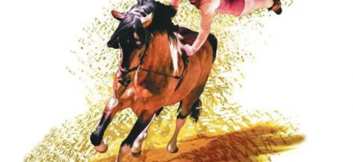 Le Haras Nationale d'Hennebont (56)