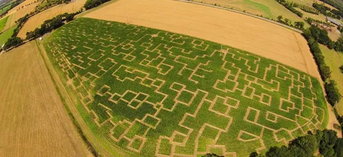 Pop Corn Labyrinthe