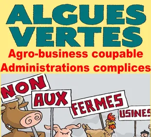 Un rassemblement contre les algues vertes dimanche prochain à Lorient