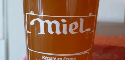 C'est parti pour la miellerie collective du Pays Nantais
