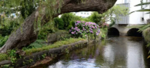 Gaëtan Martin Berthy nouveau directeur de Pl'asso Jeunes à...