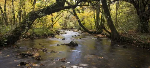 Une campagne de mécénat pour le Léguer