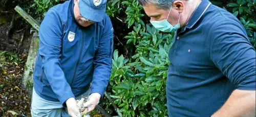 Des centaines de poissons morts dans le Naïc.