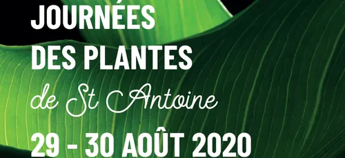 Journées des plantes de Saint-Antoine 2020