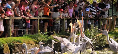 2,5 millions de français sont victime d'eczéma