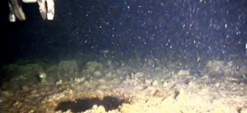 Intervention sur la coque du Tanio