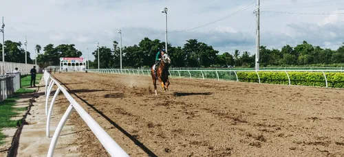 178e réunion hippique de Guingamp