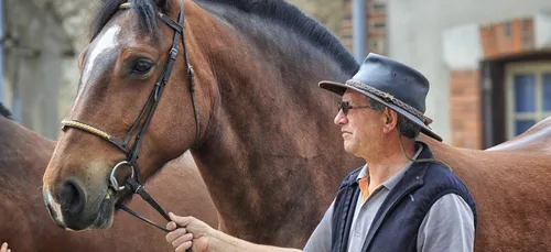273e foire aux chevaux à Bulat-Pestivien