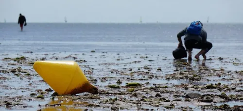 Grandes marées : sensibilisation des pêcheurs à pied
