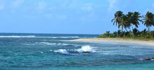 Rupture de réactifs, l'avion pour La Guadeloupe décolle sans eux.