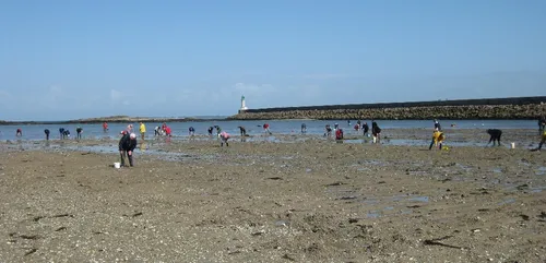 98 et 104 aujourd'hui... 109 et 112 demain et jusqu'à 113 samedi !