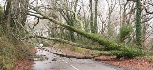 La tempête Alex abordera les côtes bretonnes la nuit prochaine