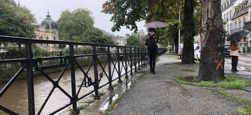 6 marronniers des quais de l'Odet à Quimper(29) vont disparaître.