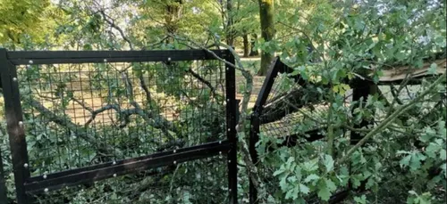 Le parc de Branféré (56) fermé suite aux dégâts de la tempête Alex.